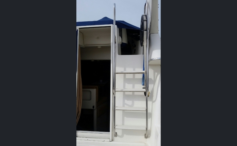 Bayliner 288 Discovery-kuva-12